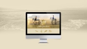 Website Bolin Yacht Sailboat Responsive design