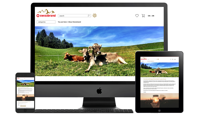 eall.biz shenzhen webdesign sonuo4