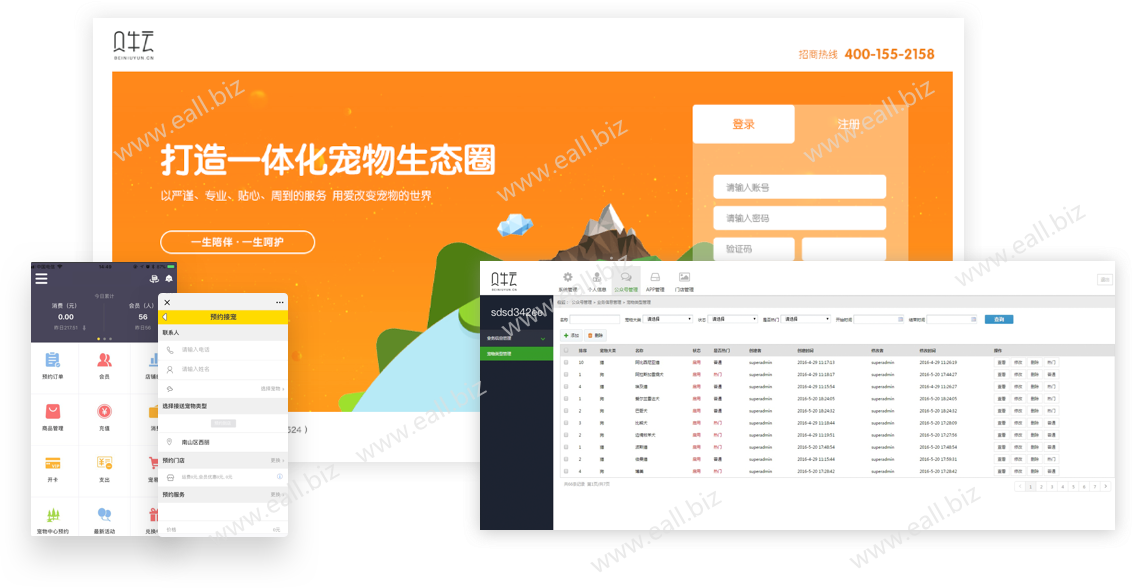 eall.biz shenzhen webdesign littletail