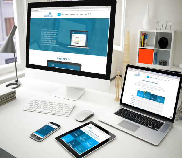 Responsive website design